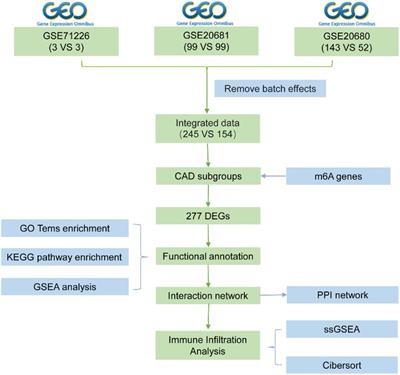 Significance of RNA N6-methyladenosine regulators in the diagnosis and subtype classification of coronary heart disease using the Gene Expression Omnibus database